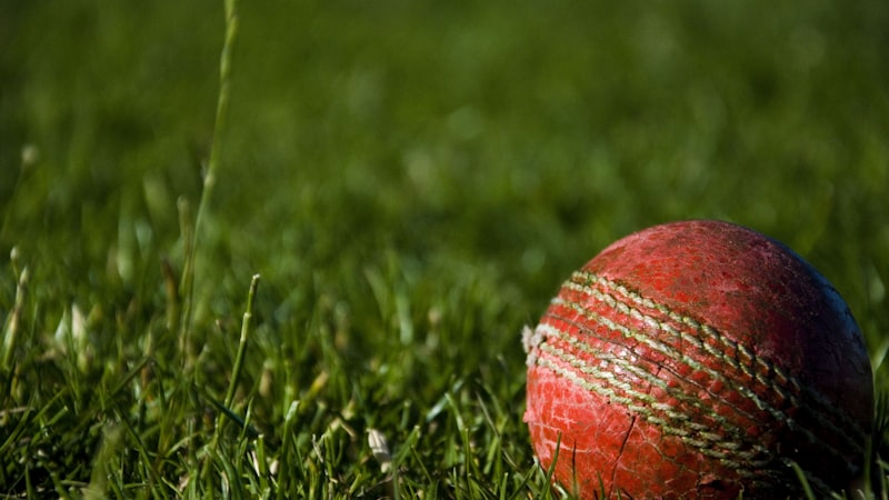 2026世界杯预选赛精彩集锦与直播入口